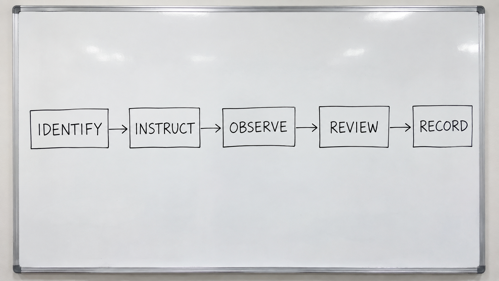 Photoreal sample workflow chart: identify, instruct, observe, review, record